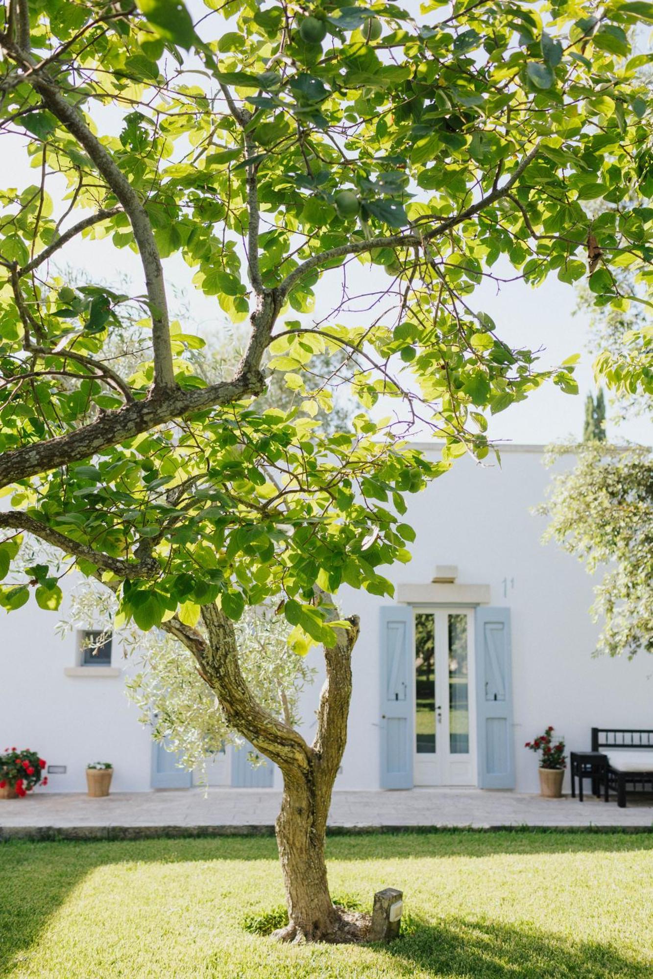 Masseria Montelauro Otranto Eksteriør billede