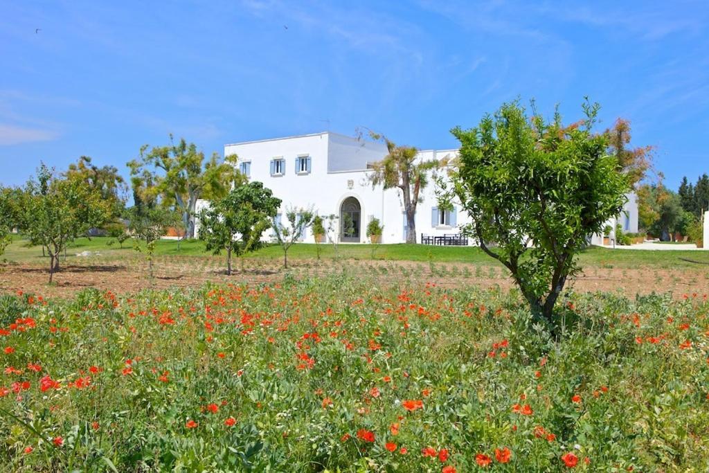 Masseria Montelauro Otranto Eksteriør billede