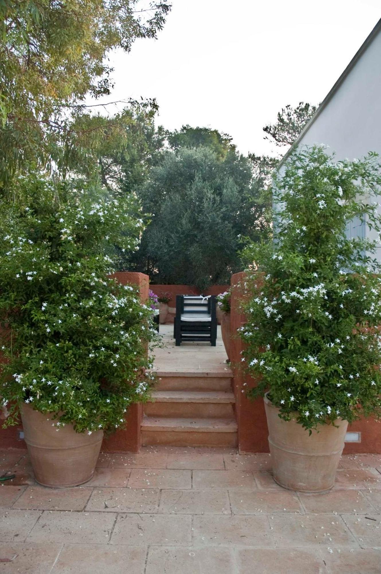 Masseria Montelauro Otranto Eksteriør billede